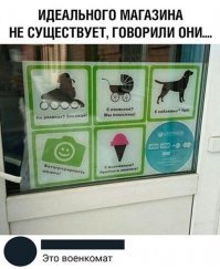 Прикольные и смешные картинки