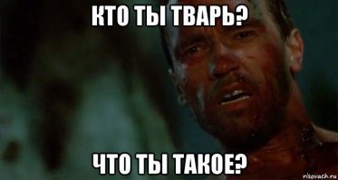 Уткособы - новый способ поднять себе настроение!