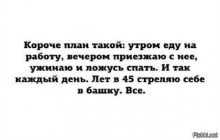 Прикольные и смешные картинки