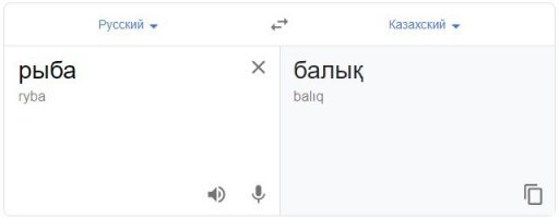 В некоторых магазинах можно встретить "Балык свиной" или "колбаса балыковая", но это не то чем кажется