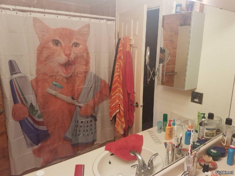 Я бы другую взял. Хоте мне уже 42, не мне вас судить.