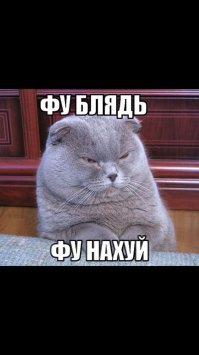 Прикольные и смешные картинки