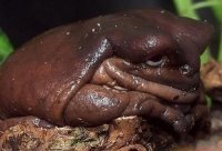 Куда деньги дела? Теперь точно знаю, что ответить мужу