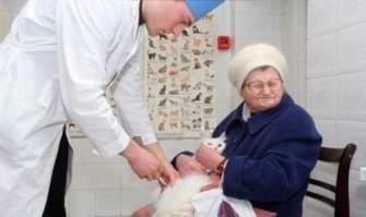 Главное – не смотреть на иглу! Скованная страхом собака на приеме у ветеринара