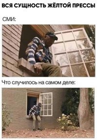 На Урале колдунья, экс-полицейские и боксер незаконно присваивали чужие квартиры