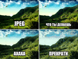 Прикольные и смешные картинки