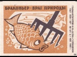 Из-за таких гондонов, ты потом в выходные с удочкой выезжаешь на водоём, и сидишь со своими снастями как даун с 2-3 поклёвками за день и одной мелочью. А "умные" местные  жители, оказывается сетями здесь периодически отфильтровывают рыбу. Ну и  в целом  ущерб по экосистеме от такого улова - не стоит недооценивать. Фактически  - изъятие большой части популяции, что может привести к полному вымиранию этого вида в водоёме.
Хотите сетями ловить? Гоу в Норвегию на траулер, с лицензией и сетью.. наловитесь на всю жизнь вперёд. Или берите в аренду водоём, разводите в нём нужный вид, и ловите себе сетями сколько захотите, или электро удочкой или толовыми шашками. 
Сажать таких надо, а то они штраф оплатят, новые сети раздобудут и снова за старое возьмутся, только на  этот раз будут уже умнее и хитрее действовать, а могут и в инспектором в сговор вступить, это  ж деревня, там все местные, знаю друг дружку с детства, не секрет, что большая часть правонарушений там спускается на тормозах, потому что все друг дружке родственники или друзья, или соседи.. и вообще своё сообщество.