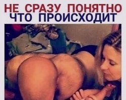 Прикольные и смешные картинки