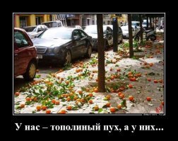 Вещи, привычные в США, но неизвестные у нас