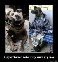 Вещи, привычные в США, но неизвестные у нас