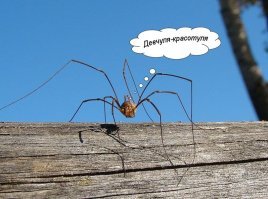 Ноги невероятной длины у шведской фитнес-модели