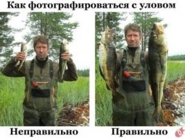 Трофеи