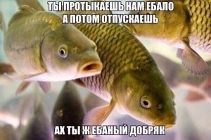 Намешалось