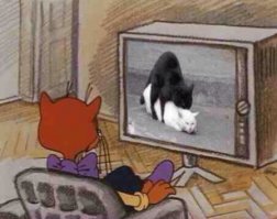 Всё-таки, что же она смотрит?