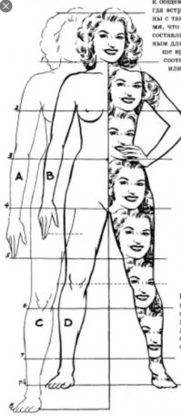 Для расчета пропорциональности тела ноги как раз от ..опы и меряют. Внешняя длина ноги - это только для портного.