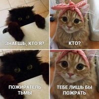 Прикольные и смешные картинки