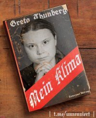 Прикольно, дождь идет к верх ногами, скоро за этот кусок земли начнется война судя по всему, а ведь Гретка вас предупреждала, взрослыши)