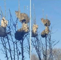 Весне дорогу!

.