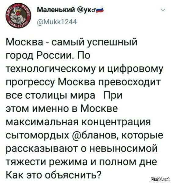 а зачем обьяснять, если настало время исправлять? ну там трудовые лагеря, за нарушение закона..а то потом еще отжираются на шару..пусть картошку покопают, в наказание. чо такого? почему в Китае патрон на казнь отрабатывают, а тут на полной халяве еще и без рисков?!