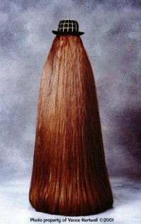 Смешные комментарии из соцсетей