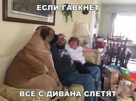 Если кто из них гавкнет? Уточните! :-)