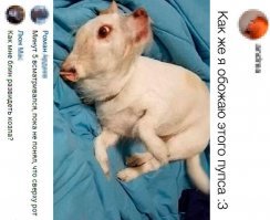 Так лучше видно