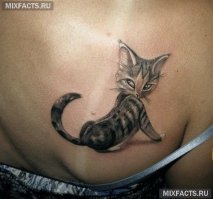 Киска на киске.