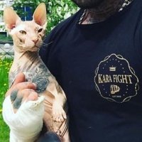 Кот отбивался.