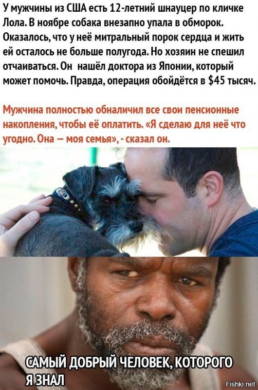 не смешно, от слова совсем!