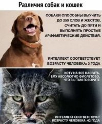 Смешные картинки из соц сетей
