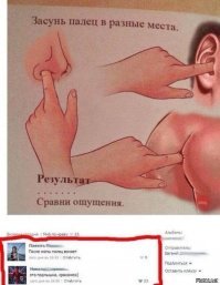 Прикольные и смешные картинки
