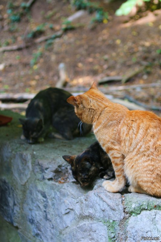 Крым. Евпатория.