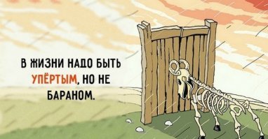 С вами всё ясно.