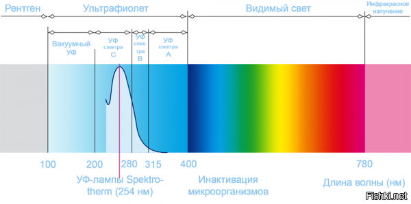 некоторые виды УФ,