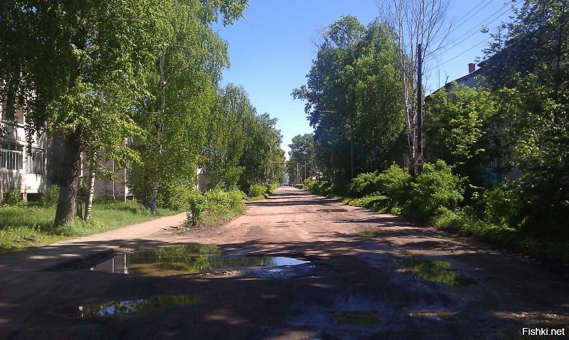 Немного из Устьян.