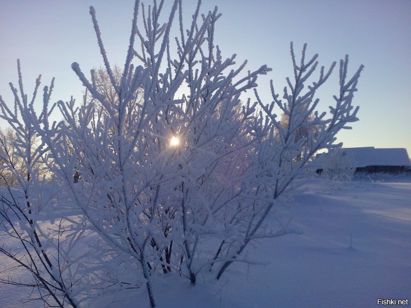 Немного из Устьян.