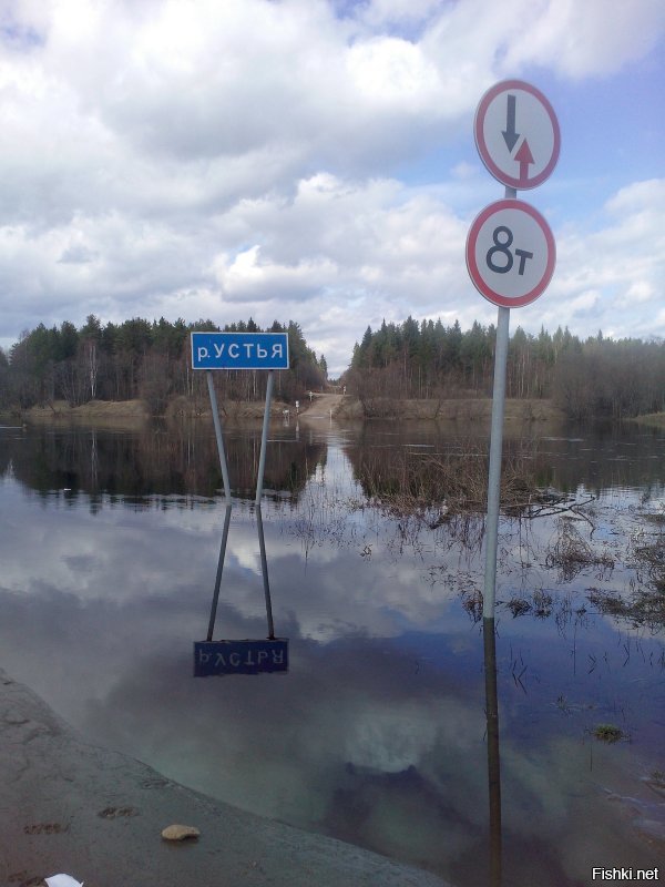 Немного из Устьян.