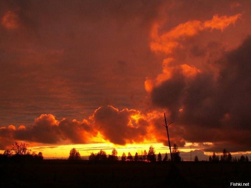 Немного из Устьян.