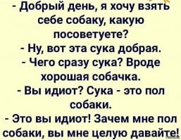 Прикольные и смешные картинки
