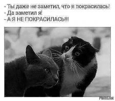 Смешные картинки из соц сетей