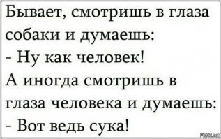 Прикольные и смешные картинки