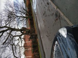 Живу в центральной части, у нас пару часов бушевал сильный ветер и дождь, теперь прошло. Небо синее, немного ветренно, коммунальные службы деревья убирают :) 
Живу в центральной части, у нас пару часов бушевал сильный ветер и дождь, теперь прошло. Небо синее, немного ветренно, коммунальные службы деревья убирают :)