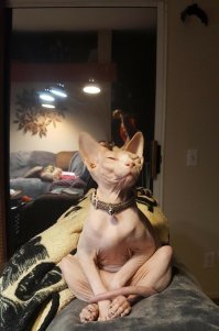 Ученица и учитель.