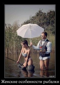 Прикольные и смешные картинки