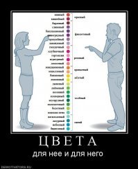 Прикольные и смешные картинки