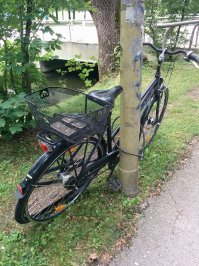 прошлым летом был в Мюнхене. Что поразило особенно сильно, так это довольно большое количество БРОШЕННЫХ "на приколе" велосипедов. Некоторые уже проржавели основательно. Но встречаются и такие