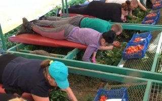 Шедевры народного креатива