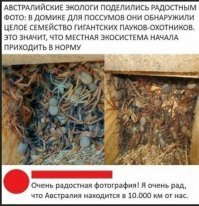 Напомнило...