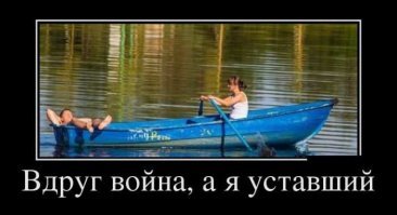 Оказывается, муравьи не любят работать, выяснили ученые