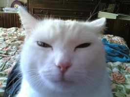 все кто с прищуром на нее похожи)))